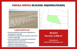 Finca rústica a Esquivias. Parcela rústica en olivar