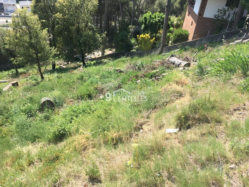 Foto 2dafa102-0305-4122-8ad2-64c44ea21b44. Terreny residencial a Aiguafreda