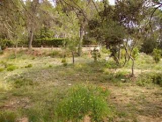 Terreno residencial  Carrer de rossell�. Superficie: 900 m�.

aicat 6536
col. 11077

la experiencia