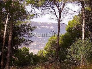 Residential Plot in Seva. Muy buenas vistas!!! terreno de 1.049 m2 aprox. ideal para const
