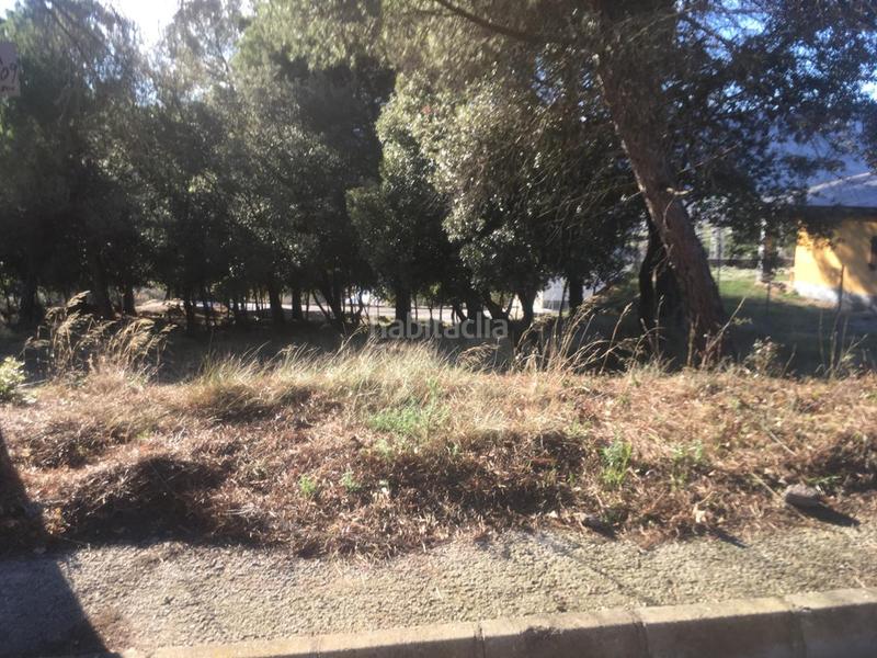 Foto 67775341-f06f-487d-92b3-c073a38971e3. Residential plot in Seva