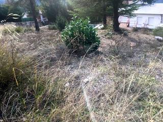 Wohngrundstck in Seva. Terreno en venta en seva