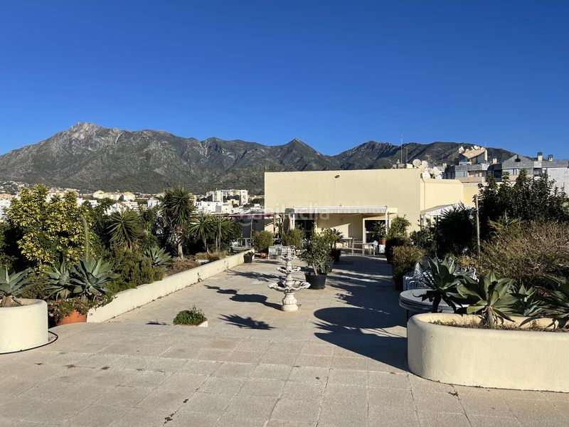 Foto 0db6ed44-51c1-432c-bbd6-0333483a1ed8. Apartament amb calefacció aparcament piscina a Playa Bajadilla - Puertos Marbella