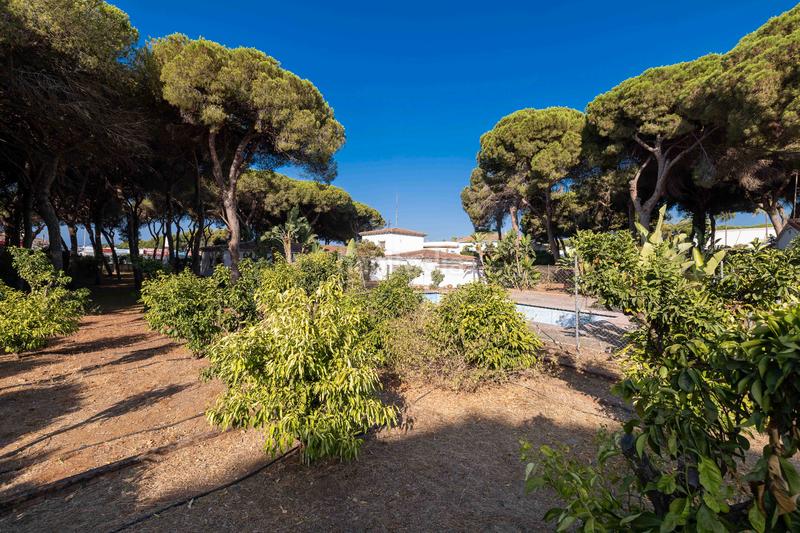 Foto ddef5db0-c177-4651-9f75-e947d104a427. Casa  con gran parcela este en El Rosario - Ricmar Marbella