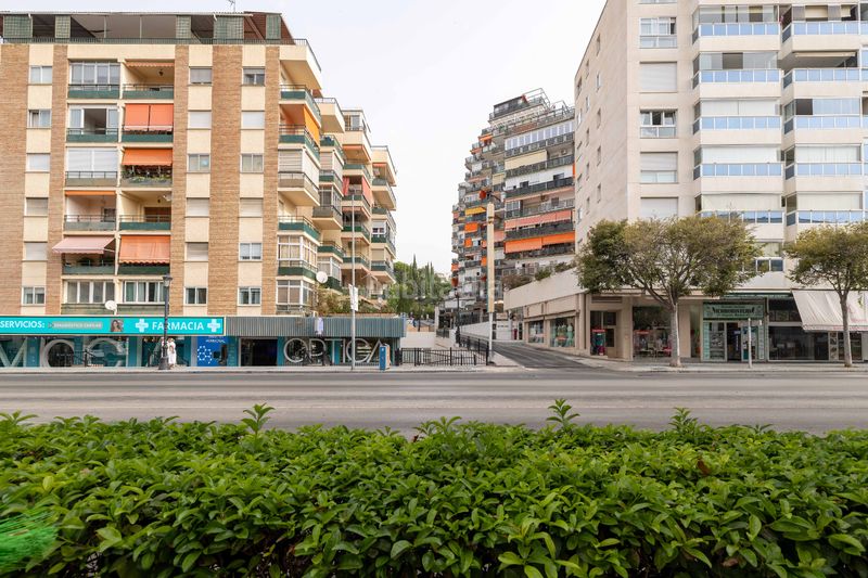 Foto ef51bf37-ab71-473a-aed9-0c7ad7663f33. Pis a Ricardo Soriano Marbella