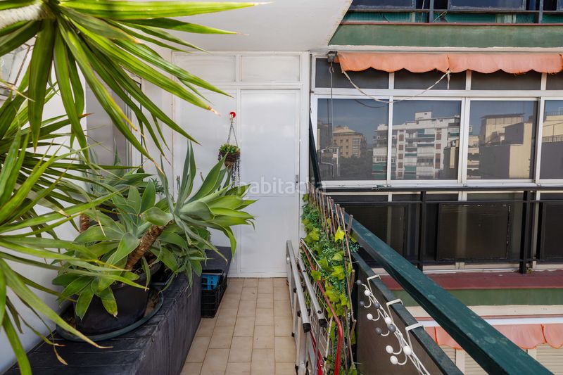 Foto f8d5acbc-a9ac-473c-bf7e-04f6a2744bcc. Pis a Ricardo Soriano Marbella