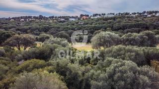 Terreny residencial  Calle lentisco. Solar urbano en sotogrande alto