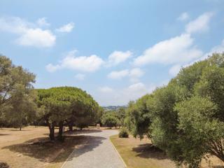 Terreny residencial  Calle soto alto. Solar urbano en sotogrande alto