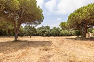 Terreny residencial  Calle soto alto. Solar urbano en sotogrande alto