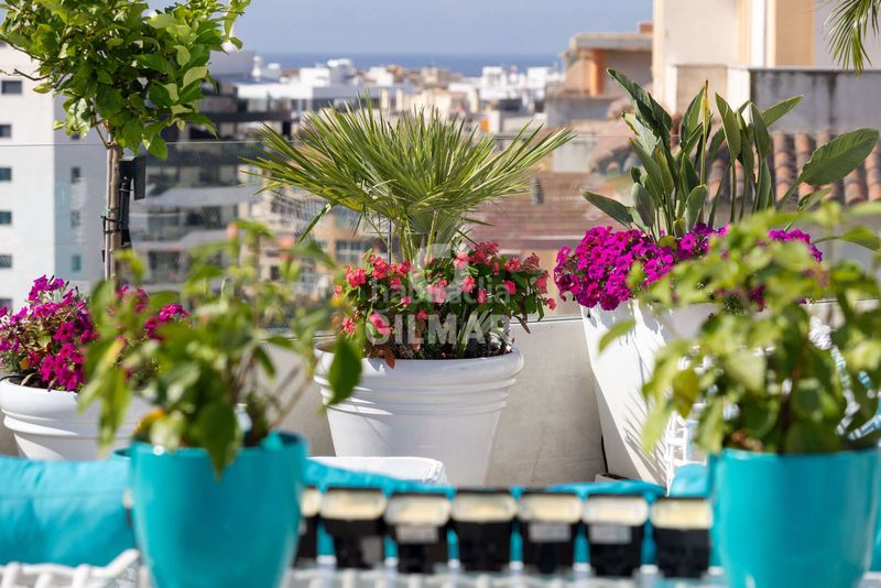 Foto 6c760f3d-ca2d-499f-a1a6-6cea8f9eeeb5. Àtic amb calefacció aparcament piscina a Parque Central Estepona