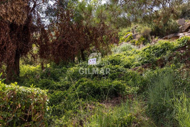 Foto 681ca765-11e8-4aff-9fac-d2bbad9e79f8. Terrain résidentiel dans Chullera Manilva