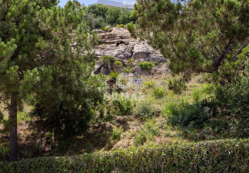 Foto ff86c62d-5c9e-4a80-9170-8ee9ec6cf786. Terrain résidentiel dans Chullera Manilva