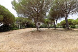 Terreny residencial a Sotogrande Alto. Parcela doble en primera línea del real club valderrama  sotogra