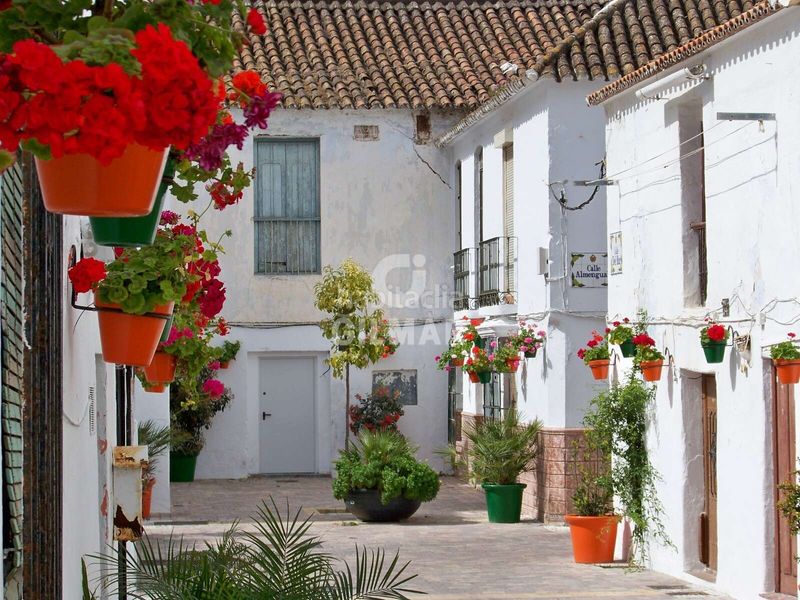 Foto c0f85706-824d-4265-9b1c-c6c0e346de07. Casa aparellada a Centro Estepona