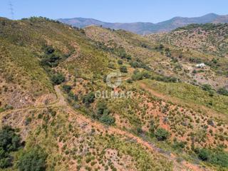 Finca rústica a Altos de Estepona. En un enclave privilegiado de estepona, rodeada de naturaleza y