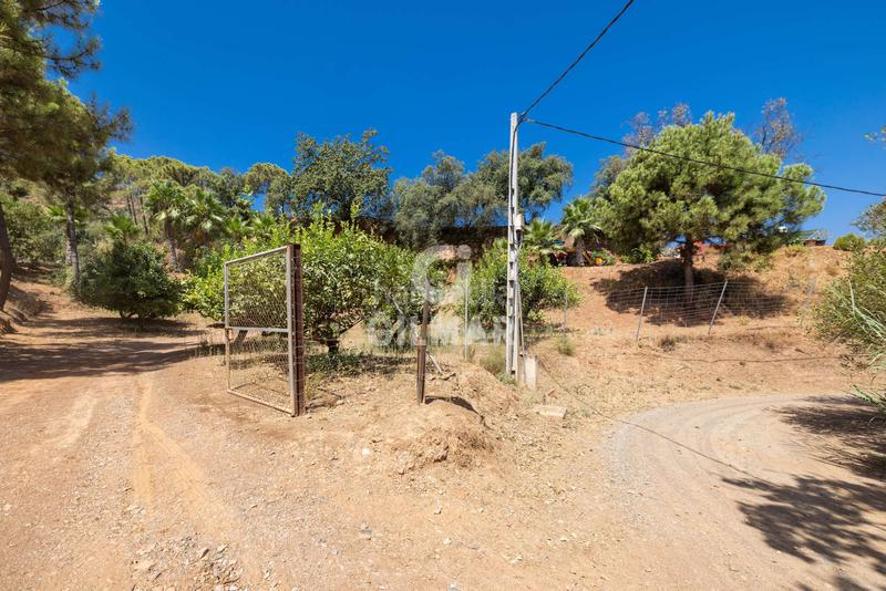 Foto 0c53b749-17f3-4ae5-bbf9-09b0ad715f74. Fondo rustico in altos de Estepona Estepona