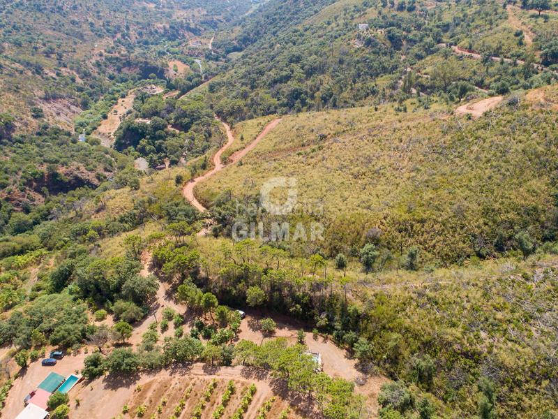 Foto 16bf26c7-eff4-4bb3-adfb-b37997fff82f. Fondo rustico in altos de Estepona Estepona