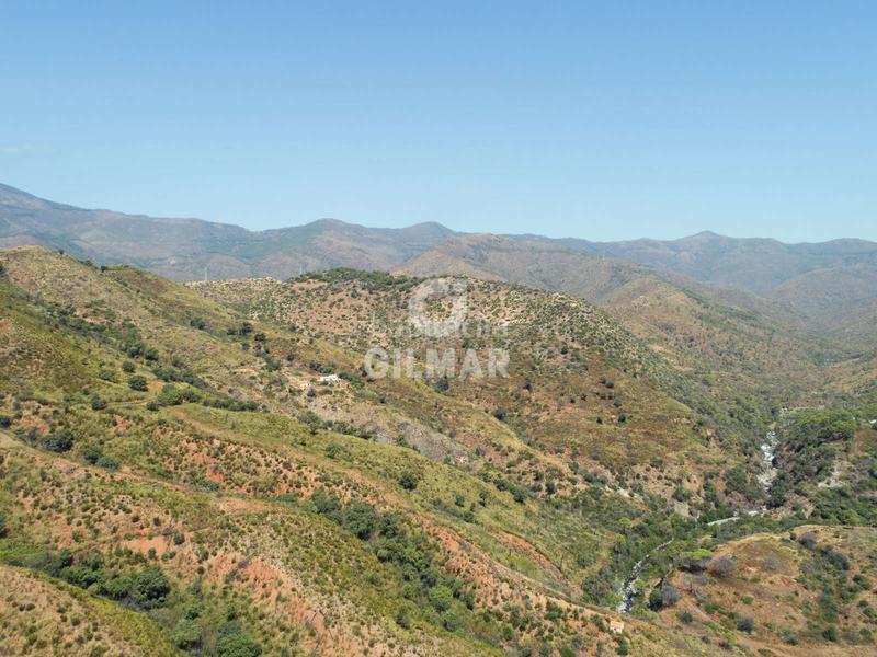 Foto 3b045e53-a4e5-489f-8856-ad40946b83b5. Fondo rustico in altos de Estepona Estepona