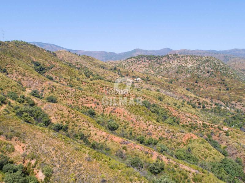 Foto 50f44da4-4784-45ac-8730-bf4687cb9f8e. Fondo rustico in altos de Estepona Estepona