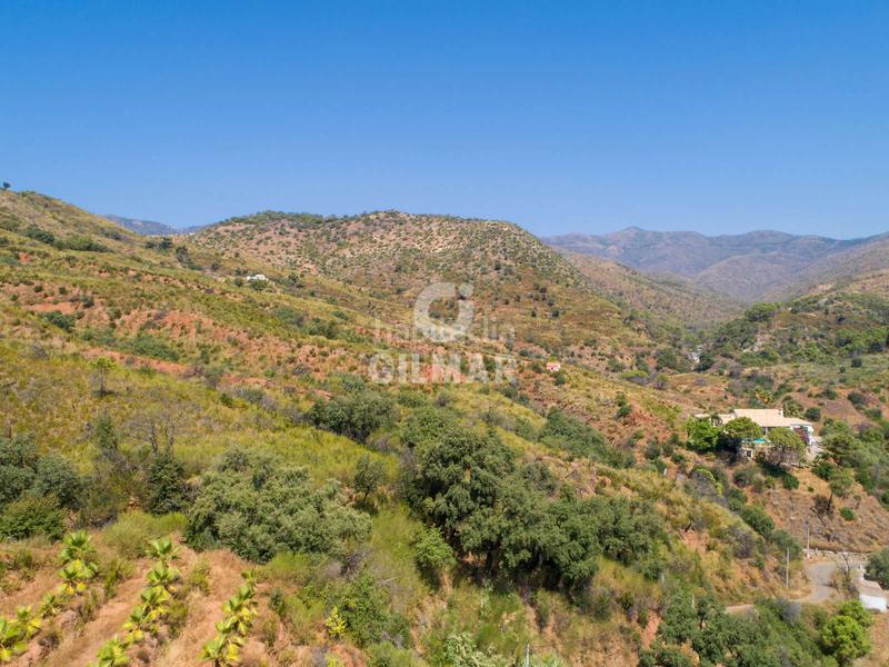 Foto 5111fb0f-94ea-4125-b964-14c4a3c196cb. Fondo rustico in altos de Estepona Estepona