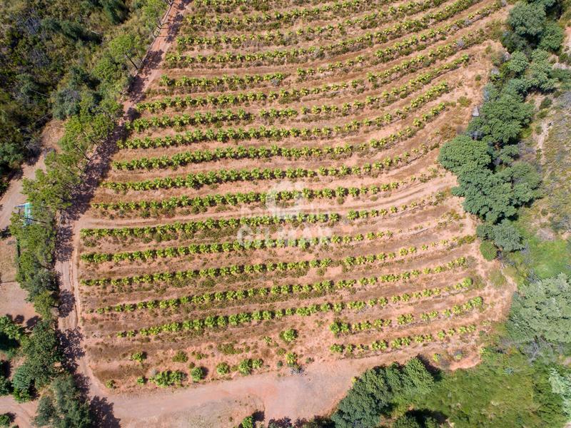 Foto 519ee4ee-5f79-41e1-96c6-98c6a61ce2a9. Fondo rustico in altos de Estepona Estepona