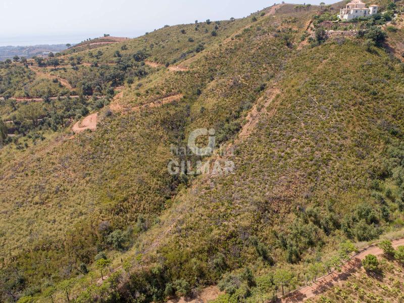 Foto 6d48bc46-8035-4aa7-9635-3a41ee3af2cc. Fondo rustico in altos de Estepona Estepona