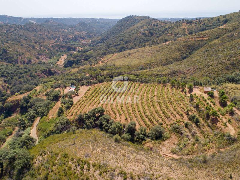 Foto 701e630c-7d3d-4665-95bd-847f03f352d5. Fondo rustico in altos de Estepona Estepona