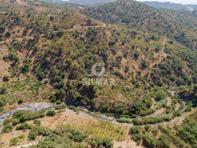 Foto 79da5af8-0dce-4a72-b8f3-fa5b66bbb835. Fondo rustico in altos de Estepona Estepona