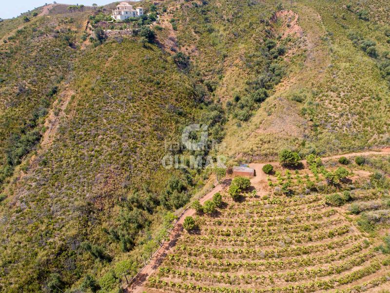 Foto 7c3d4a54-a4f7-4747-958e-16daeb74bf9d. Fondo rustico in altos de Estepona Estepona