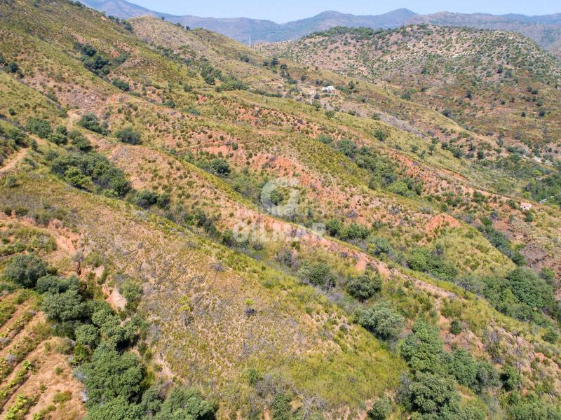 Foto 94d7afff-0ef2-401f-a84a-1a9a05eaedd4. Fondo rustico in altos de Estepona Estepona