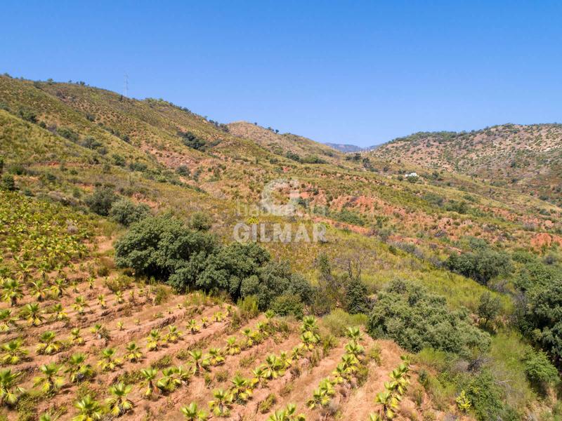 Foto 99bfa0c2-ac2e-4397-b364-8cf9d0cfa29a. Fondo rustico in altos de Estepona Estepona