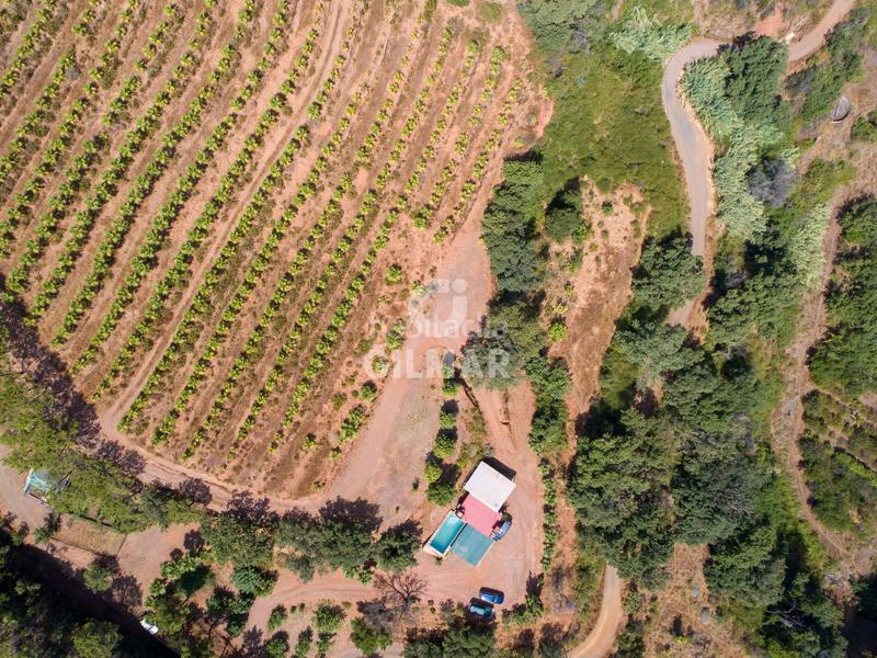 Foto a508e309-8988-4561-b871-3e25aa448e9a. Fondo rustico in altos de Estepona Estepona