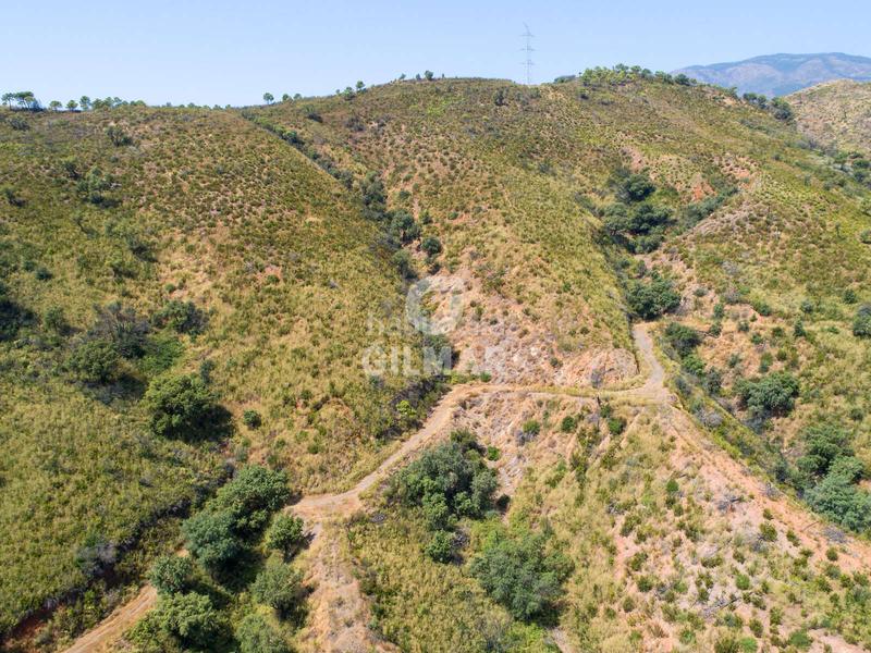 Foto a9bc496d-c97a-4a39-a988-d20a6ee16444. Fondo rustico in altos de Estepona Estepona