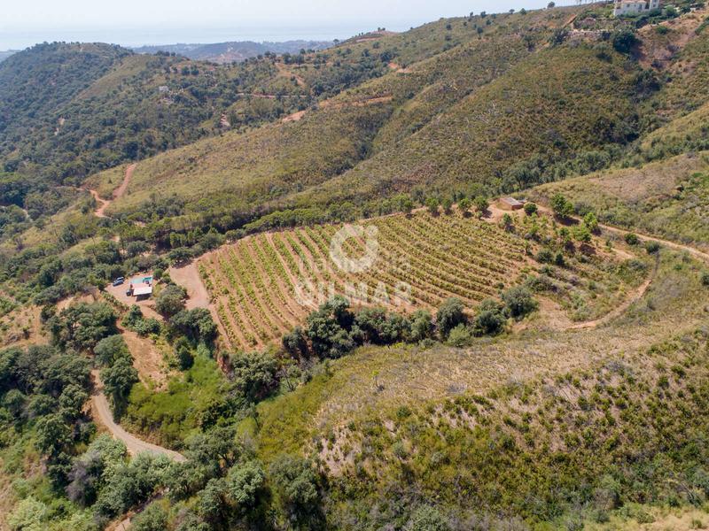 Foto acb8fa9b-4bc0-448d-89e7-1afebb2b838f. Fondo rustico in altos de Estepona Estepona