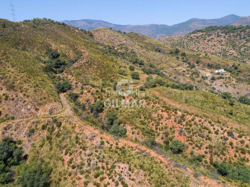 Foto b8c55963-56f9-4c8b-a747-587a0301aeb6. Fondo rustico in altos de Estepona Estepona