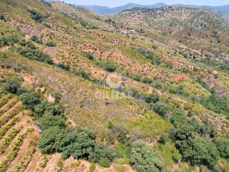 Foto cef00aff-3e4b-462a-a5c8-d36b06ce96ab. Fondo rustico in altos de Estepona Estepona