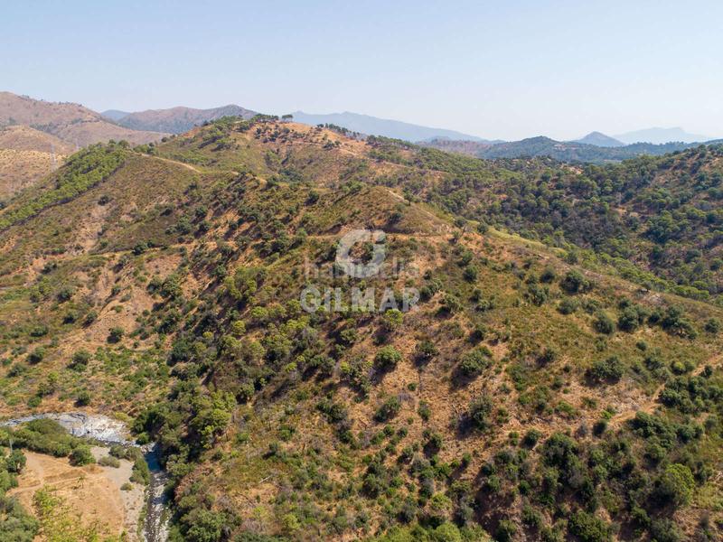 Foto d1fe0593-cf6b-4ed1-a16d-52c52de340e7. Fondo rustico in altos de Estepona Estepona