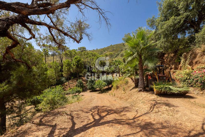 Foto d26cb71b-7e9c-46e5-a4f3-3246c6db06de. Fondo rustico in altos de Estepona Estepona