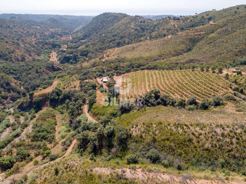 Foto e2f521e2-57a7-49c0-85fb-b9bfbd16b94f. Fondo rustico in altos de Estepona Estepona