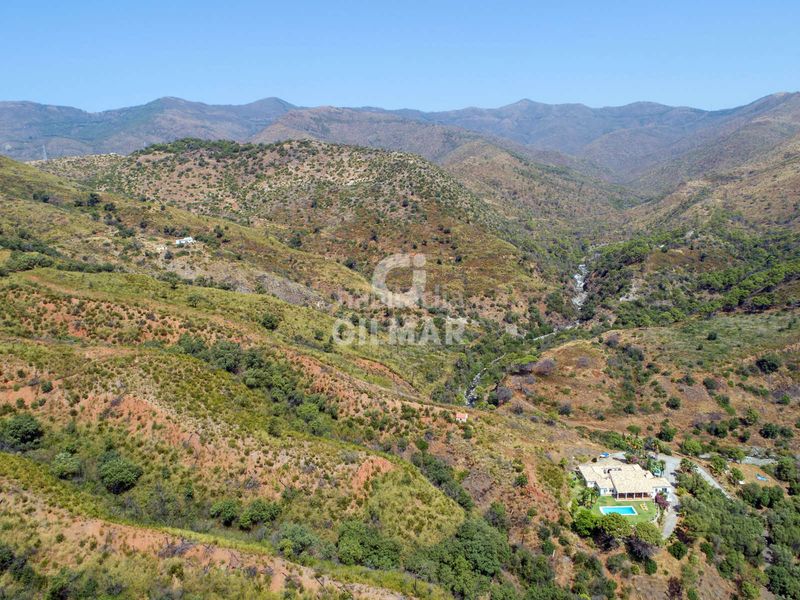 Foto 4c7b44a8-1c67-472e-8b69-22b4194d7a68. Finca rústica a altos de Estepona Estepona