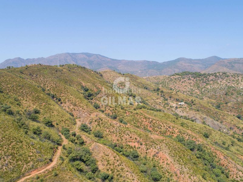 Foto 90f788b7-74f1-4de0-a82c-ac2e9a3d2018. Finca rústica a altos de Estepona Estepona