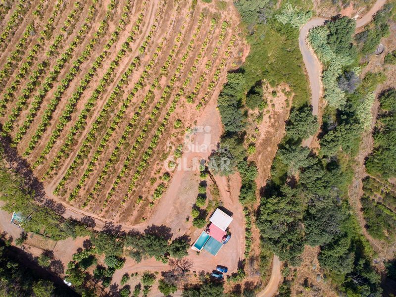 Foto a508e309-8988-4561-b871-3e25aa448e9a. Finca rústica a altos de Estepona Estepona
