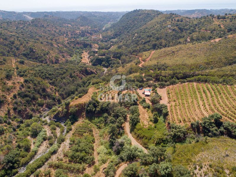 Foto b7e866d4-1d2b-4a8e-88d1-0025b0a3f23f. Finca rústica a altos de Estepona Estepona