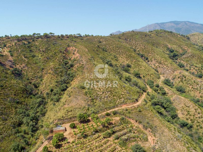 Foto d1c088ff-a0c0-4fb1-90cb-b9e941e11fdf. Finca rústica a altos de Estepona Estepona