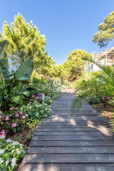 Foto 23efdddc-2b5f-4be5-b6c7-6c3a8e8d70c9. Chalet avec chauffage piscine dans sierra de Estepona - avda. de andalucía Estepona