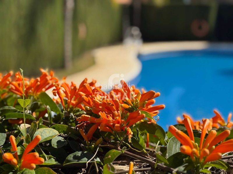 Foto d42c0030-74f7-4131-8af2-0d4b2406b06d. Casa adossada amb calefacció aparcament piscina a Estepona