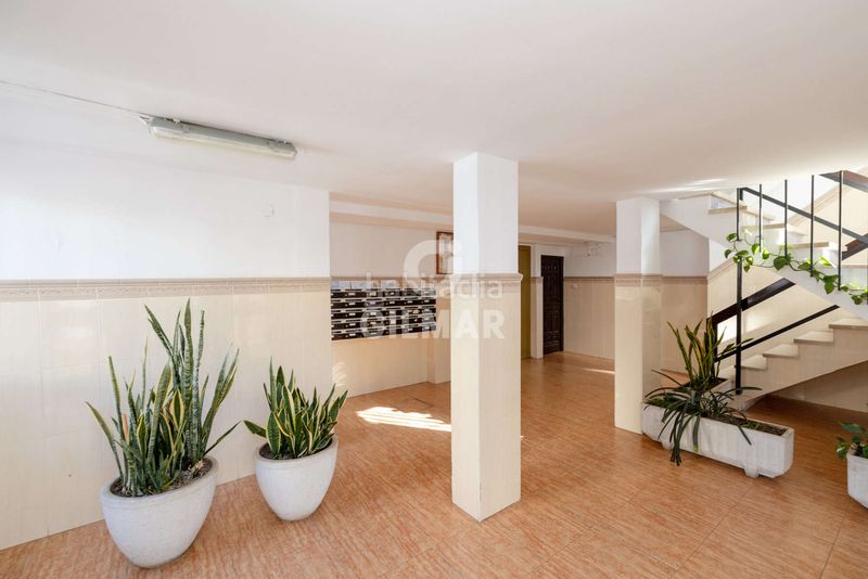 Foto d7849d45-4495-47d5-9520-b7b218a30d56. Estudi a Huerta Nueva Estepona