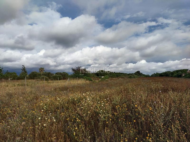 Foto 155cd0a1-2006-4a88-b4ae-4066668a7a3e. Finca rústica a Pelagatos - Pago del Humo Chiclana de la Frontera