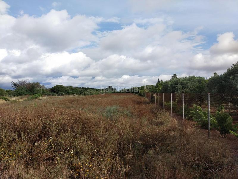 Foto 1c3a7135-2678-453f-9db8-2ec918e2d129. Finca rústica a Pelagatos - Pago del Humo Chiclana de la Frontera