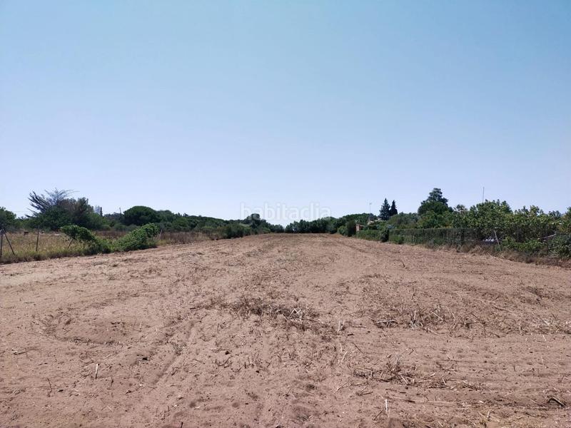 Foto 3aca2a89-ecbc-41df-8b3c-81ab89fedafc. Finca rústica a Pelagatos - Pago del Humo Chiclana de la Frontera